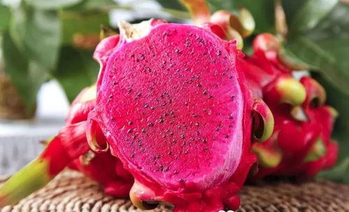 娱乐吃瓜火龙果视频,娱乐吃瓜盛宴，带你领略网络娱乐新潮流